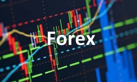 Ngân hàng Nhà nước: Không cấp phép cho bất kỳ sàn Forex nào tại Việt Nam