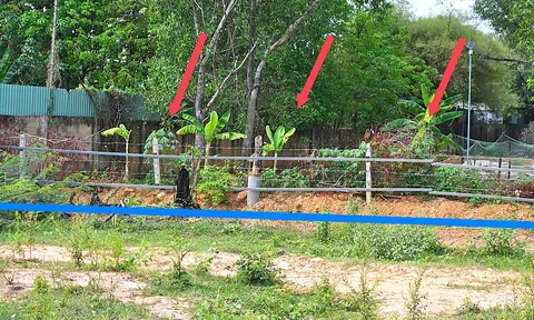 Bình Dương: Doanh nghiệp “than trời” khi mua nhầm khu đất… vướng đủ thứ!