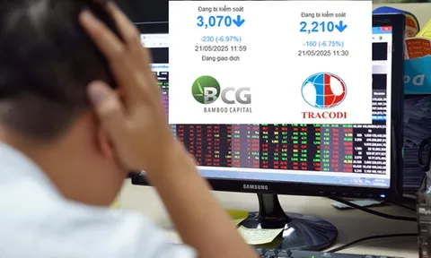 Bộ đôi BCG và TCD vào diện hạn chế giao dịch, cổ phiếu "nằm sàn"