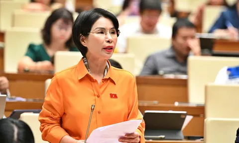 Hộ kinh doanh doanh thu hàng chục tỷ nhưng áp thuế khoán vài triệu