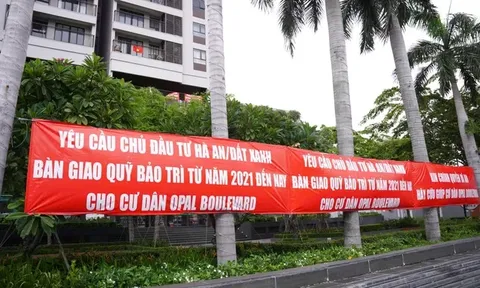 Chủ đầu tư dự án The Privé nợ thuế gần 83 tỷ đồng