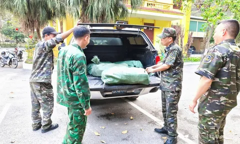 Hàng nghìn sản phẩm 'đội lốt hàng Việt Nam': Ngành Hải quan vào cuộc quyết liệt