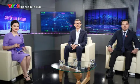 Việt Nam bùng nổ tầng lớp siêu giàu: Ai quản lý tài sản của tỷ phú, triệu phú USD?