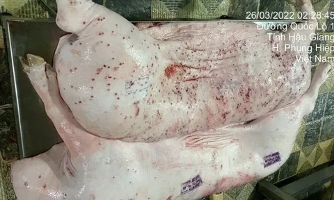 Người "tố" Công ty C.P chế biến lợn, gà bệnh để bán ra thị trường nói, đang tiếp tục gửi đơn đến các cơ quan chức năng