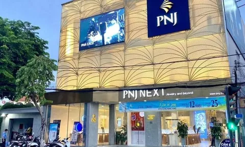 Công ty PNJ có dấu hiệu vi phạm pháp luật hình sự