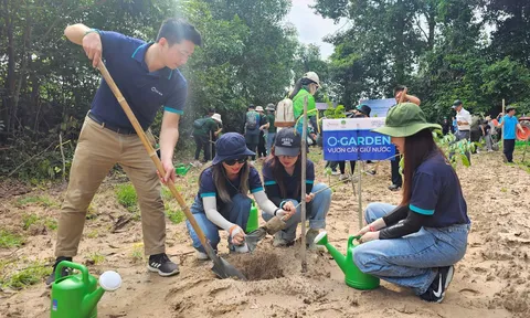 Hưởng ứng ngày môi trường thế giới, OPES trao tặng gần 1.300 cây giống tại tỉnh Tây Ninh