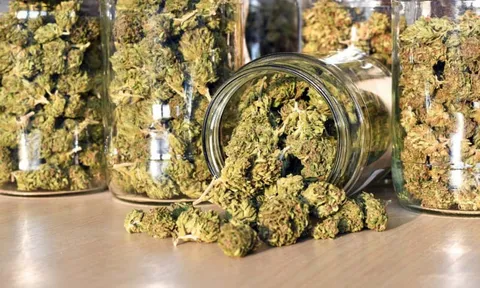 3 cựu công an phường chở người vi phạm đi rút tiền "cảm ơn", có thể bị xử lý thế nào?