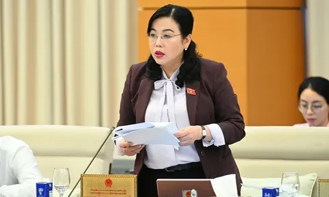 Có đại biểu Quốc hội 3 - 4 chức nhưng không biết ai bổ nhiệm