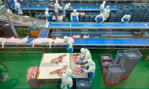 Hà Nội: Liên ngành đột xuất kiểm tra Công ty C.P trong đêm