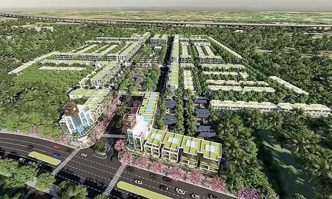 Chủ đầu tư dự án An Phú Sinh nợ thuế 130 tỷ đồng, bị ngừng sử dụng hoá đơn