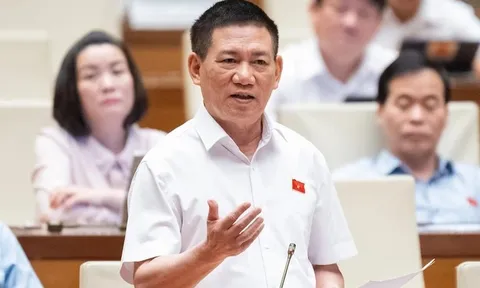 Phó Thủ tướng Hồ Đức Phớc: Nên áp dụng thuế khoán đối với hộ kinh doanh, buôn bán nhỏ, doanh thu dưới 1 tỷ đồng