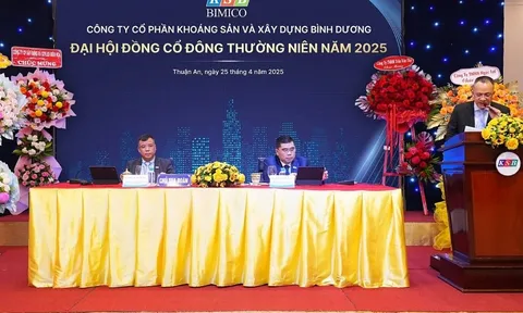 Chủ đầu tư Khu công nghiệp 4.200 tỷ nợ thuế trăm tỷ, tăng gần 40 tỷ chỉ trong 6 tuần