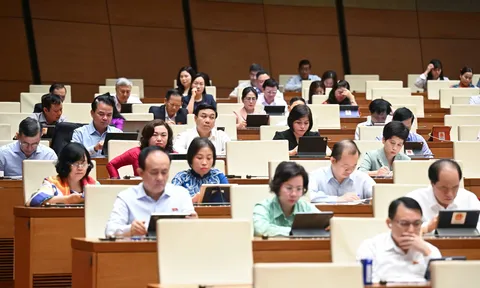 Chính thức miễn học phí cho học sinh công lập cả nước, hỗ trợ học sinh tư thục