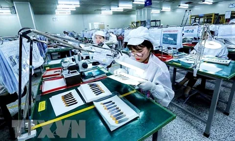 Doanh nghiệp châu Âu giữ vững niềm tin vào triển vọng của Việt Nam