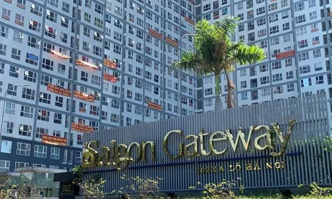 Tp.HCM còn hàng trăm chung cư chưa bàn giao quỹ bảo trì