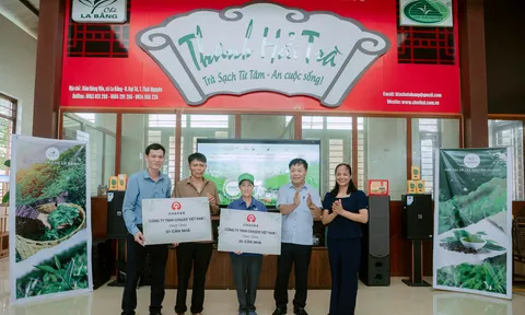 Thái Nguyên: Người dân trồng chè ở La Bằng với niềm vui an cư