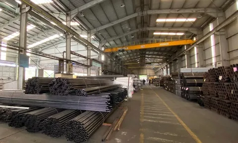 Công ty Mạ Kẽm Công Nghiệp Vingal - Vnsteel bị phạt và truy thu thuế hơn 1,6 tỷ đồng