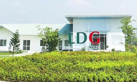 Cổ phiếu LDG 'sập sàn', nhà đầu tư FOMO nhận trái đắng