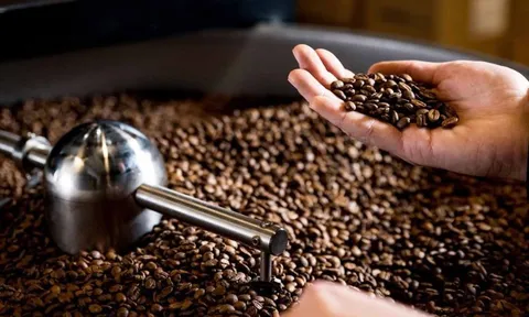 Đưa cà phê giảm phát thải vào chuỗi giá trị toàn cầu