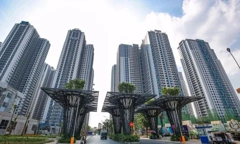 Công ty cổ phần Bất động sản Mỹ và Công ty địa ốc Việt Hân bị xử phạt vi phạm trong lĩnh vực chứng khoán