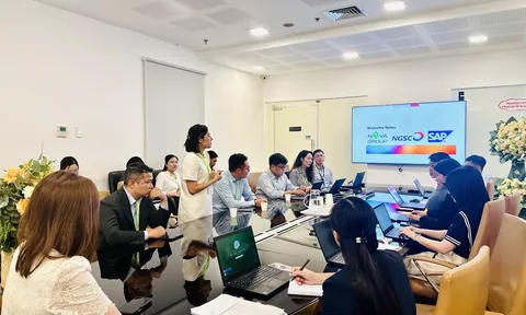 NovaGroup chiêu mộ nhân lực cấp cao trên hành trình phục hồi