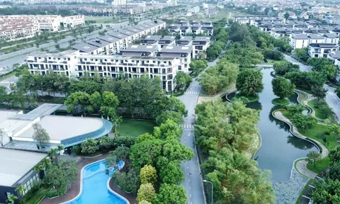 Hà Đô giảm 68% lãi ròng quý I, trích lập gần 200 tỷ cho dự án điện mặt trời