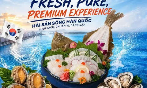 Royal Seafood và TSG Korea đưa hải sản Hàn Quốc đến gần hơn với thực khách Việt