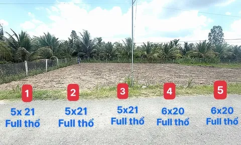 Cơ hội đầu tư hấp dẫn với Đất nền Vĩnh Long