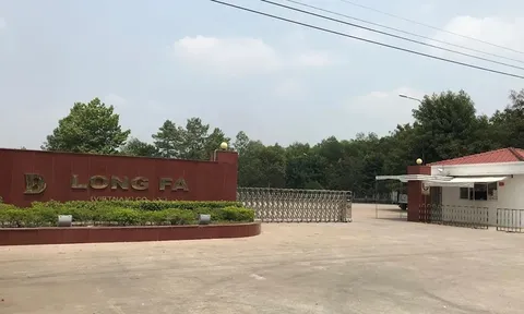 Vi phạm trong lĩnh vực đầu tư, Công ty TNHH Long Fa bị xử phạt