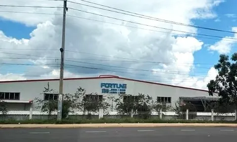 Xử phạt Công ty TNHH Công nghệ Fortune và Công ty TNHH Feng Yi