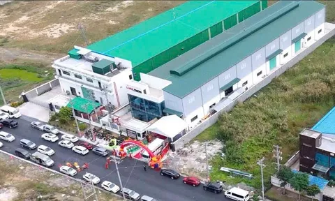 Thị trường sữa công thức: Cầu lớn, cơ hội cho thương hiệu nội vươn cao