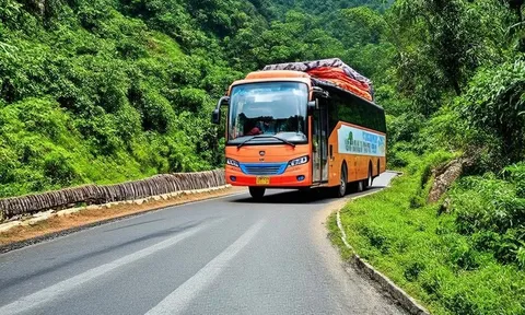 Đừng đổ lỗi cho xe giường nằm!