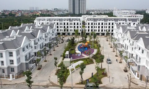 Eurowindow Nha Trang, Tân Hoàn Cầu Bến Tre và 3 DN khác bị phạt vì vi phạm công bố thông tin trái phiếu