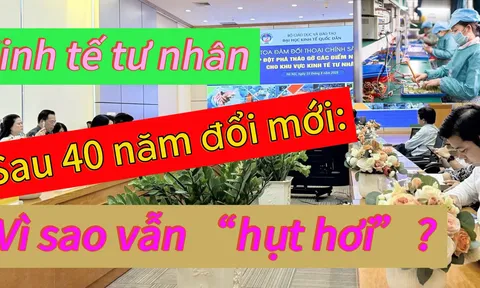 Kinh tế tư nhân sau gần 40 năm đổi mới: Vì sao vẫn “hụt hơi”