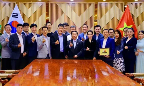 Tập đoàn KN Holdings: Cơ hội và thách thức