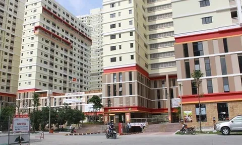 Nợ thuế gần 600 tỷ đồng, Công ty Cổ phần Đức Khải bị dừng làm thủ tục hải quan