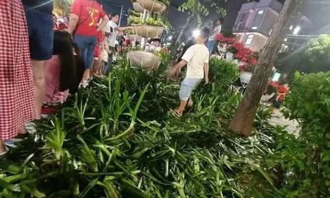 Những hành vi nào có thể bị xử phạt nếu vi phạm khi đi xem diễu binh, diễu hành