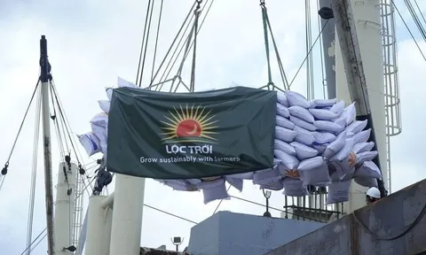 Vi phạm công bố thông tin, Lộc Trời lãnh án phạt 210 triệu đồng