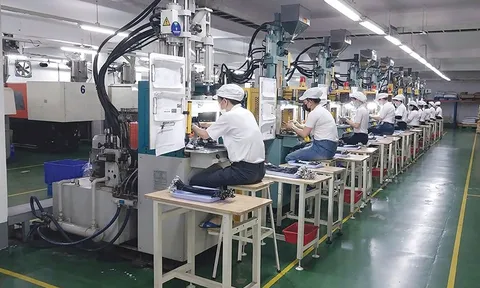 Xóa lời nguyền ‘ốc vít’