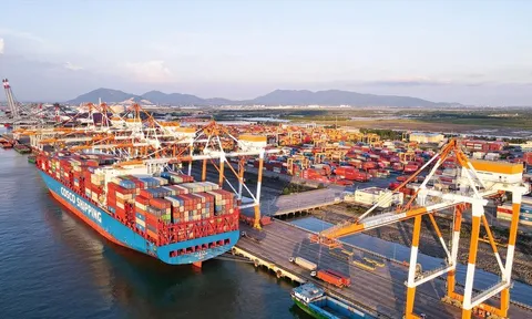 Việt Nam có 3 cảng biển lọt TOP 100 cảng lưu thông nhiều hàng hóa nhất thế giới