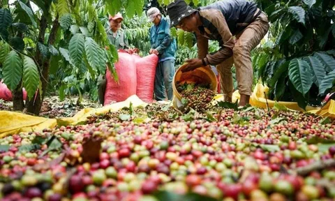 Người tham gia thị trường tài sản mã hóa cần biết dưới góc nhìn pháp lý