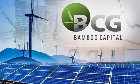 BCG và TCD kéo dài vi phạm công bố báo cáo tài chính, bị HoSE cảnh báo