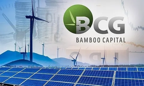 Bamboo Capital xin lỗi cổ đông, vẫn không cứu được thị giá