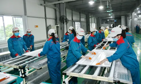 Tăng cường nội lực doanh nghiệp: Nền tảng tạo sức bật mới cho kinh tế Việt Nam