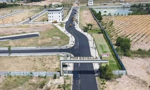 Loạt sai phạm nào khiến dự án PNR Estella Đồng Nai bị thanh tra “điểm mặt”?