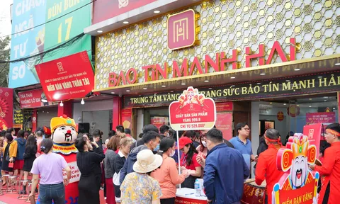 Doanh nghiệp vừa bắt tay với Bảo Tín Mạnh Hải lập sàn tiền số, cổ phiếu nhận án định chỉ giao dịch