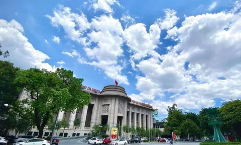 Ngân hàng Nhà nước đề nghị phối hợp liên bộ nhằm ổn định thị trường ngoại hối