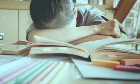 Cha mẹ cưỡng ép con học quá sức bị phạt tới 10 triệu đồng