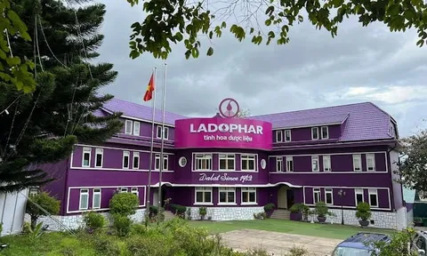 Một doanh nghiệp dược nhận án phạt vì chậm báo cáo giao dịch cổ phiếu bất động sản