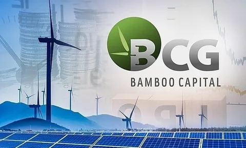 Bamboo Capital triệu tập họp cổ đông bất thường sau khi cổ phiếu bị đình chỉ